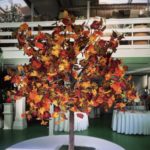 Autumn Tree